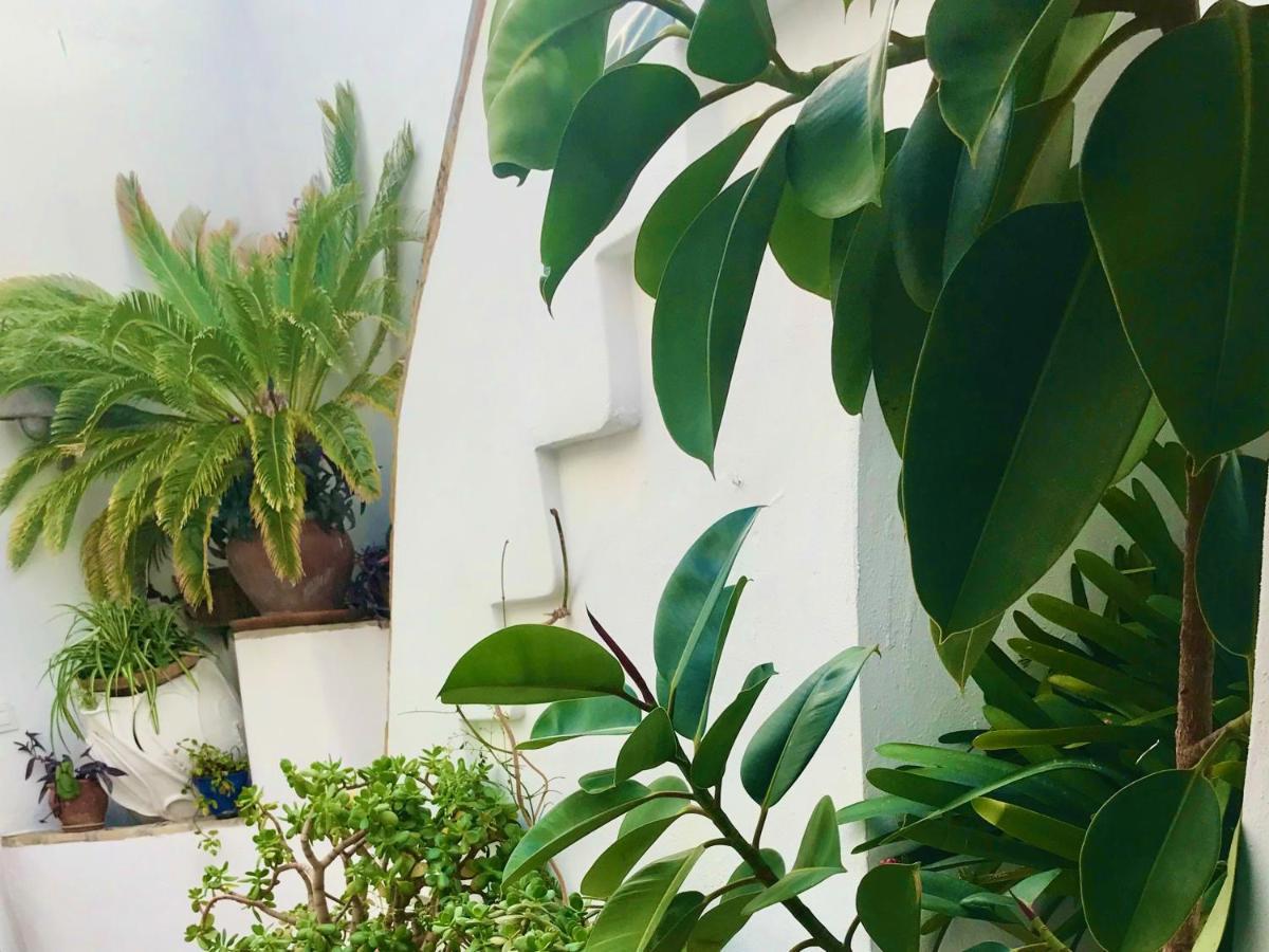 Casa La Fuente C Casas Vejer Debra Leilighet Vejer de la Frontera Eksteriør bilde